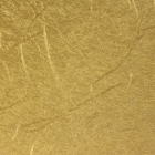 paneli-absolyut- 03