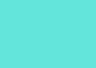 ORACAL №39