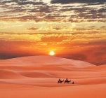 Caravan in Sahara desert