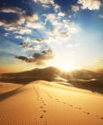 Desert