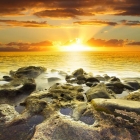 Beautiful orange sundown