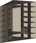 treug_1